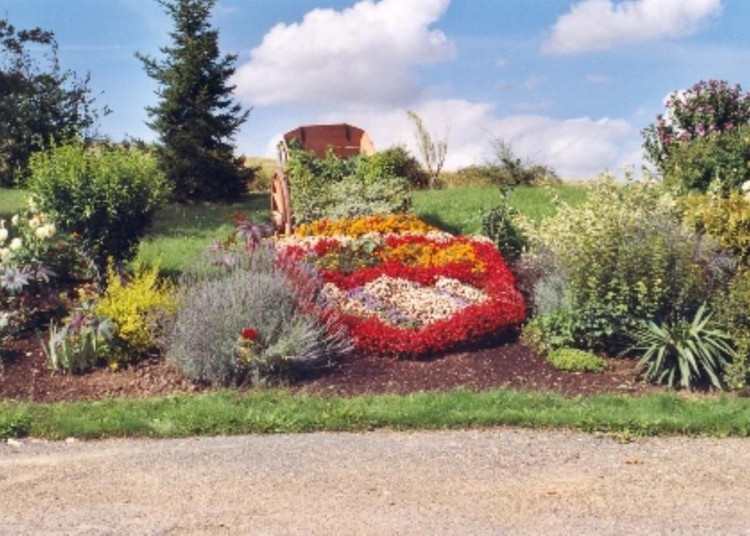 Un bouquet de fleurs dans un jardin avec un ciel bleu en arrière-plan