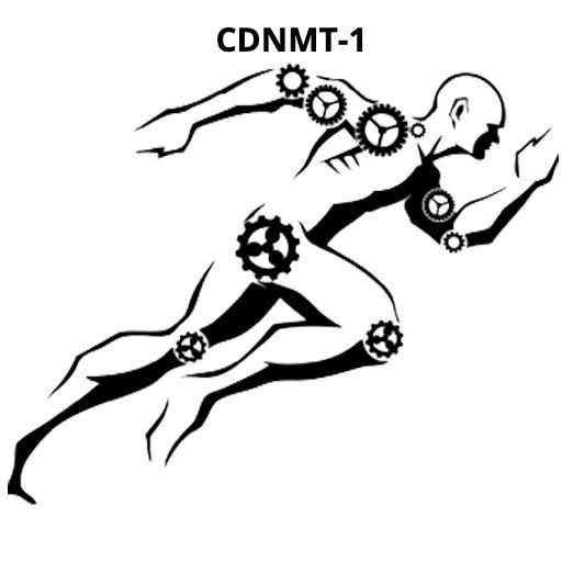Comprehensive Dry Needling and Manual Therapy (CDNMT-1)