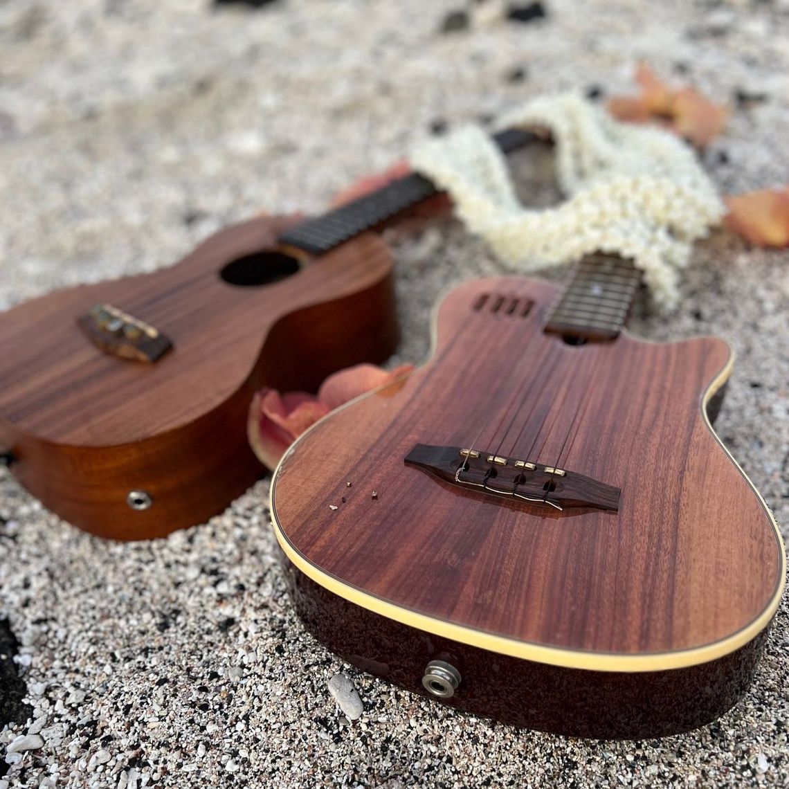 a guitar with a leaf on it is sitting on the ground