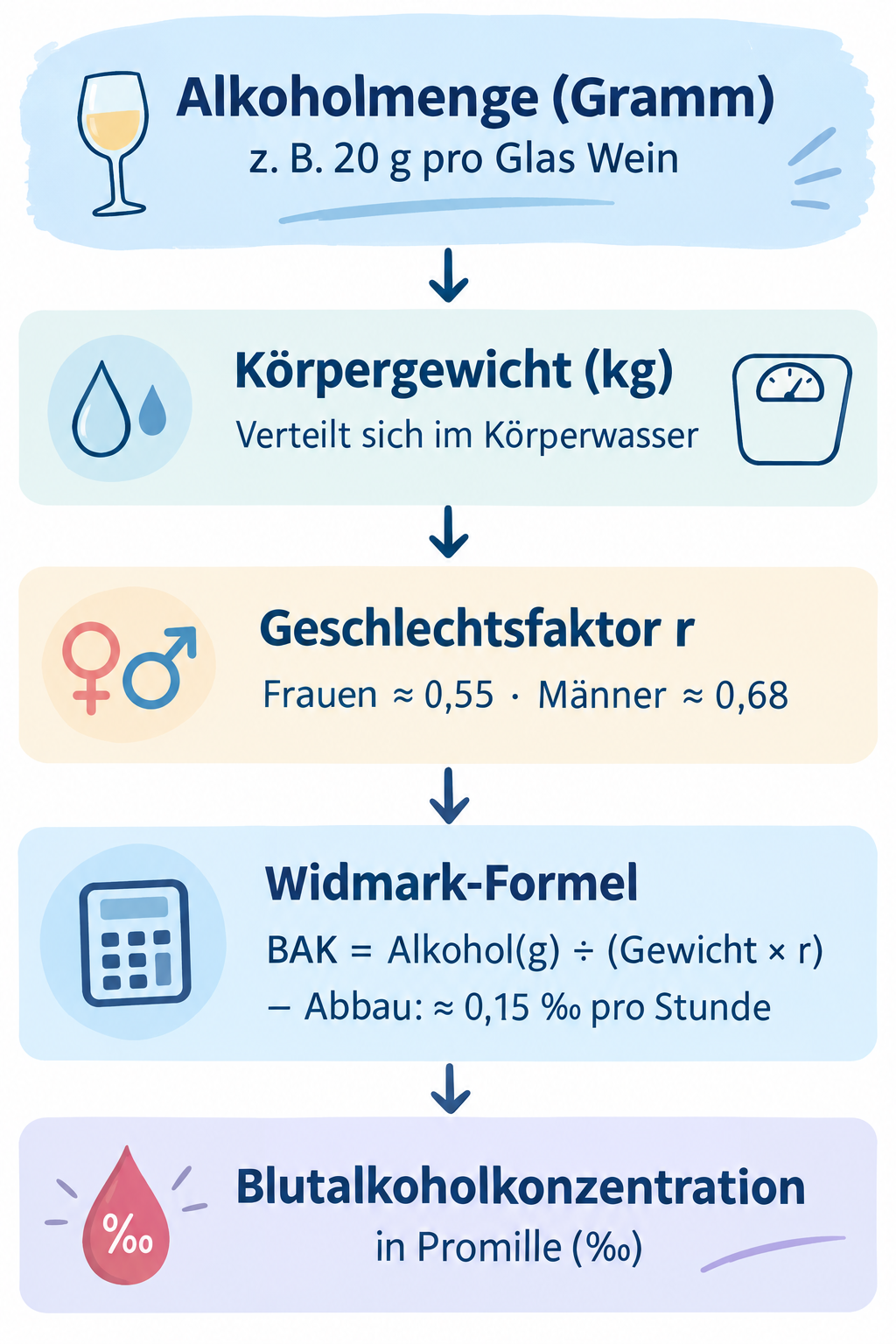 Alkoholabbau