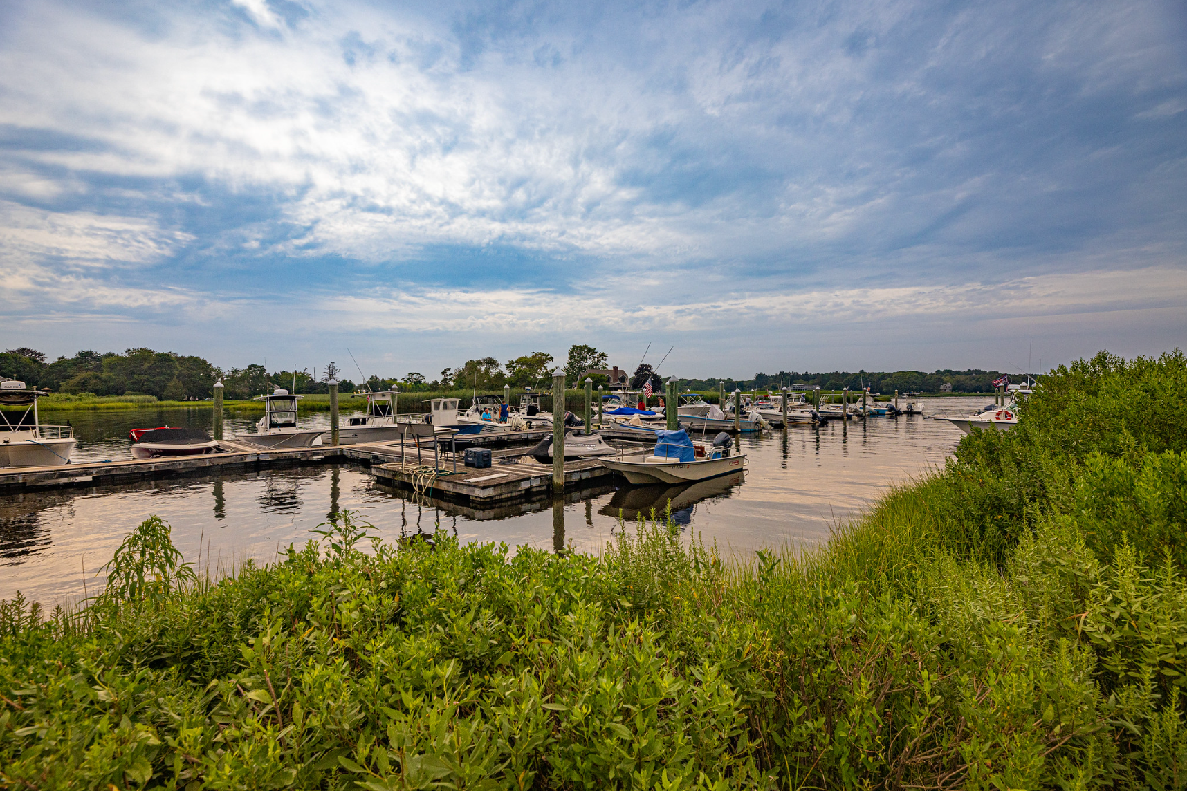 A marina with boats docked in the water and trees in the foreground.