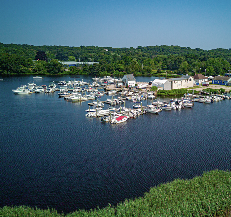Marina with many docked boats on a calm blue waterfront, surrounded by green trees and buildings