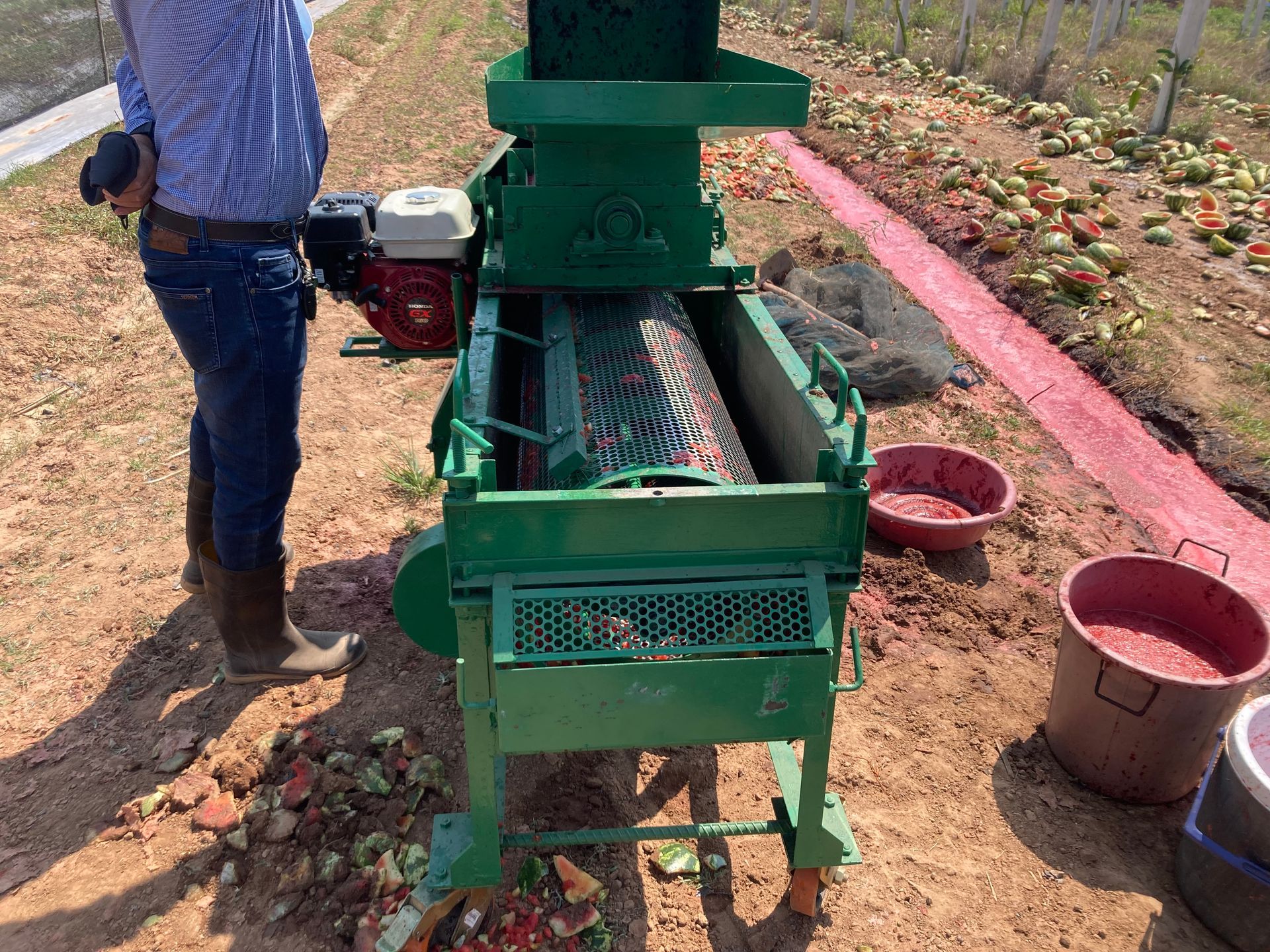Watermelon Seed Harvester, seed extraction, wet seed harvester, wet seed thresher