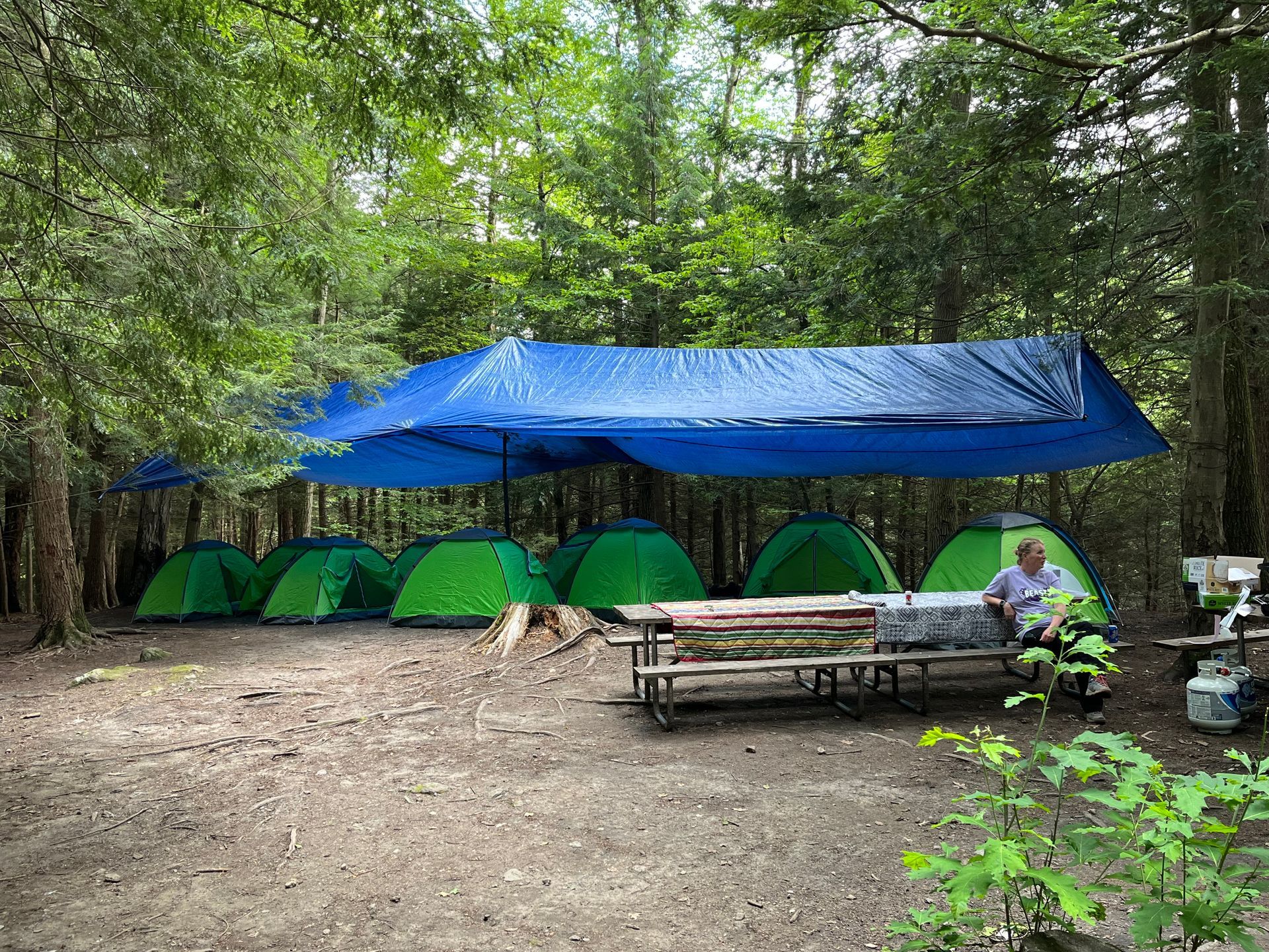 a sign that says welcome to mt greylock campsite park