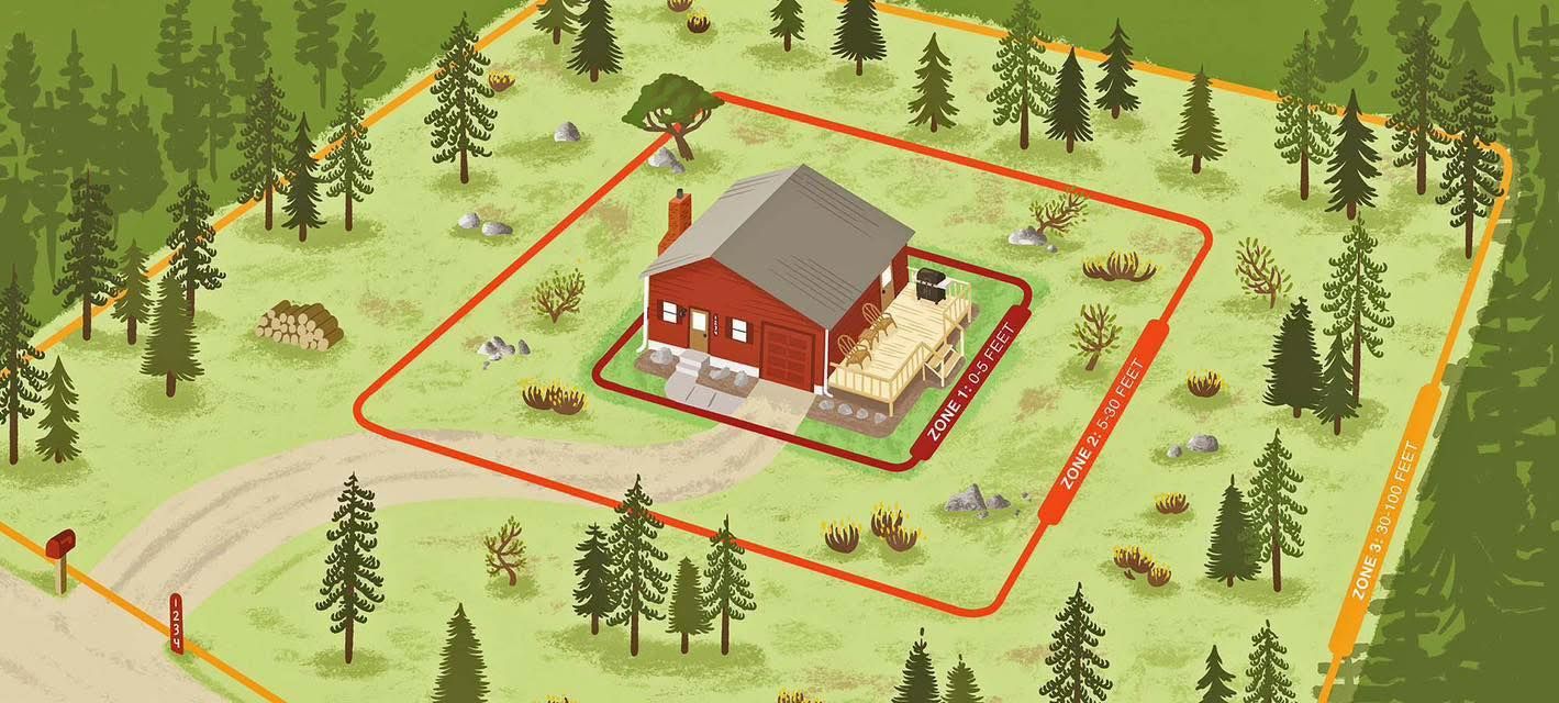 Defensible Space | Alpine HomeScapes | Golden, CO