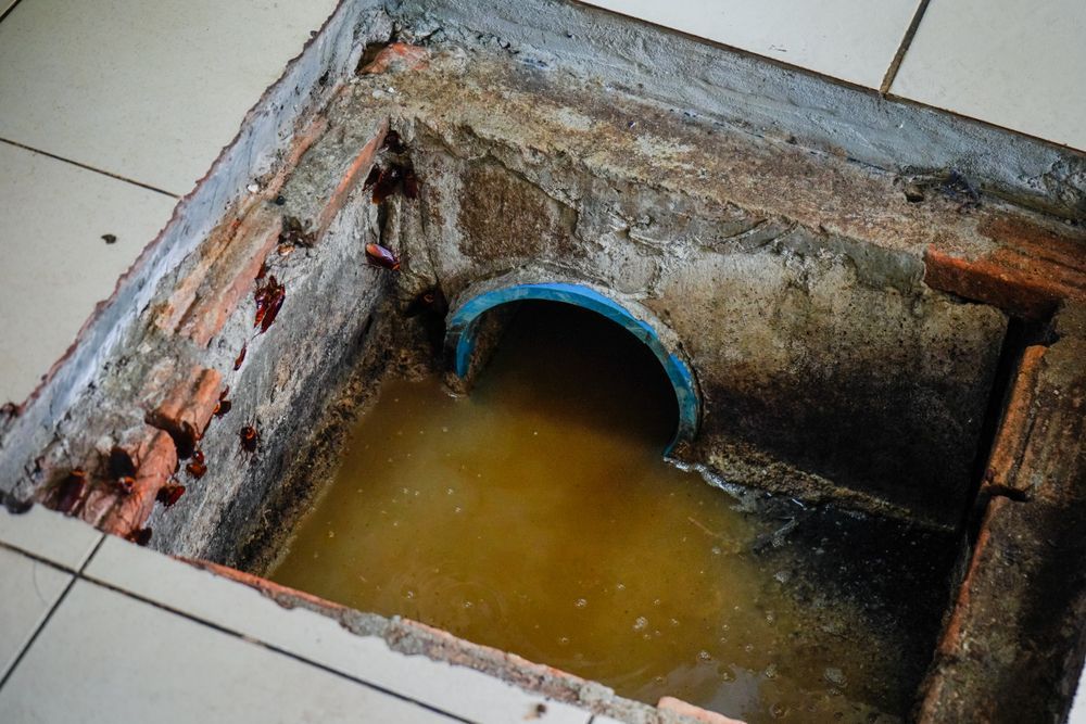 Open Drainage Pit with Standing Muddy Water and Exposed Brick Edges — Tamworth Septic & Liquid Waste in Wallabadah, NSW