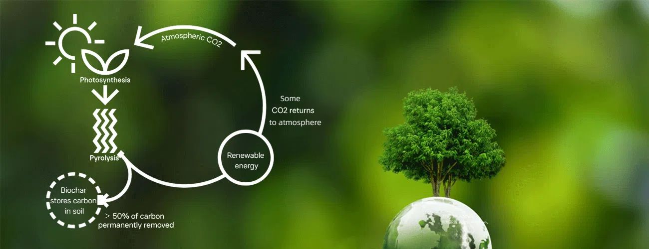 Biomass Pyrolysis and the Carbon Cycle: Why Biochar Can Sequester Carbon