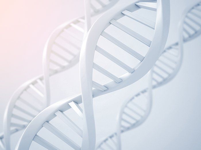 Genetics
