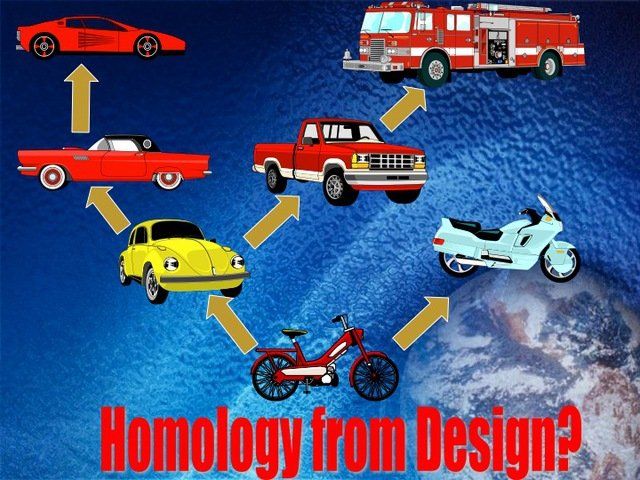 Related By Design