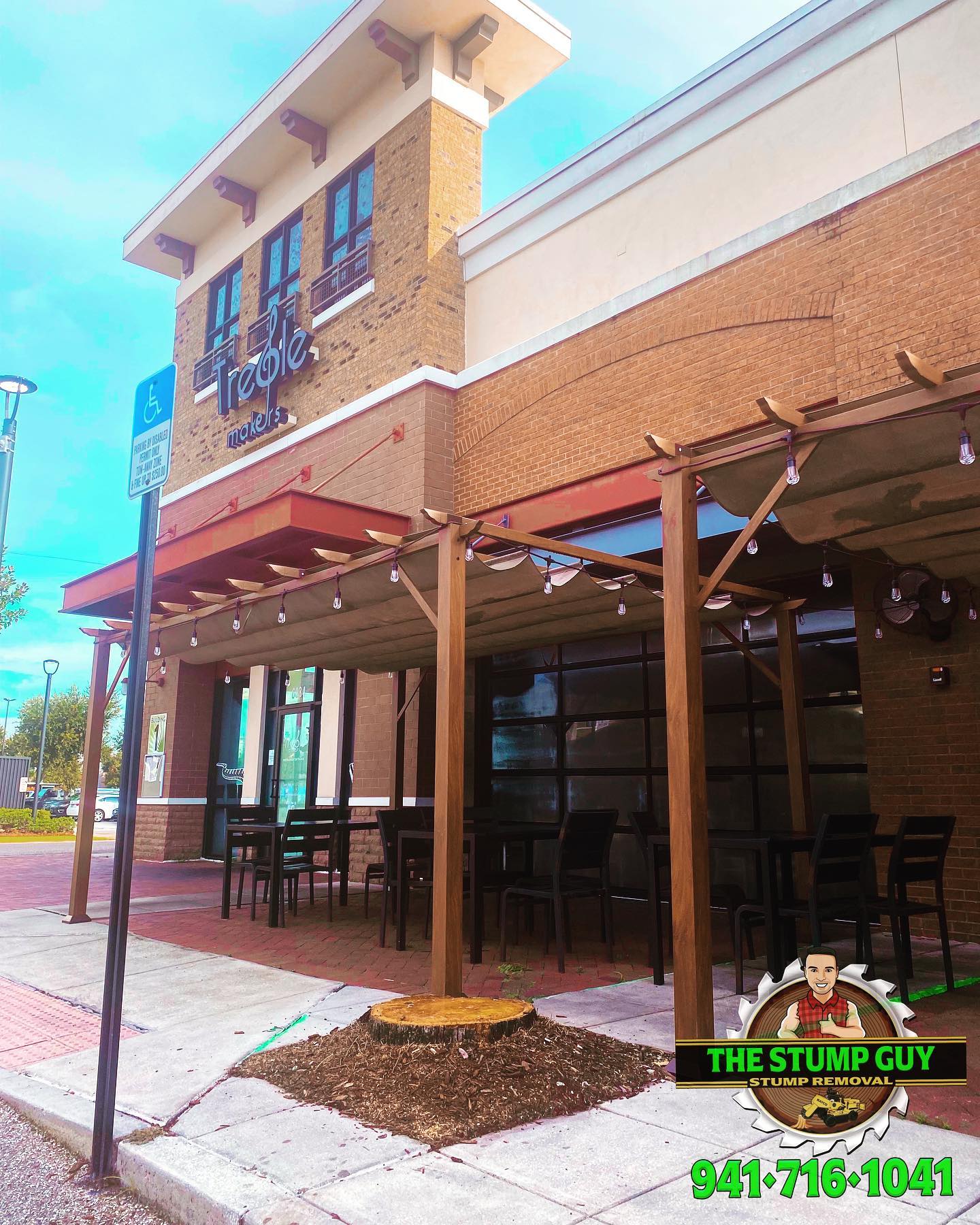 Stump Removal | Tampa, FL | The Stump Guy of Tampa
