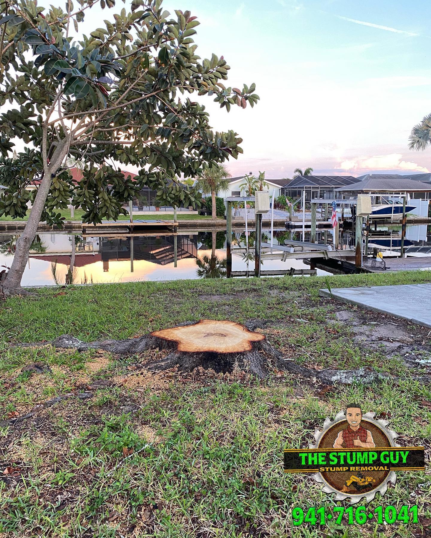 Tree stump in front of a canal with houses and dock. A logo for 