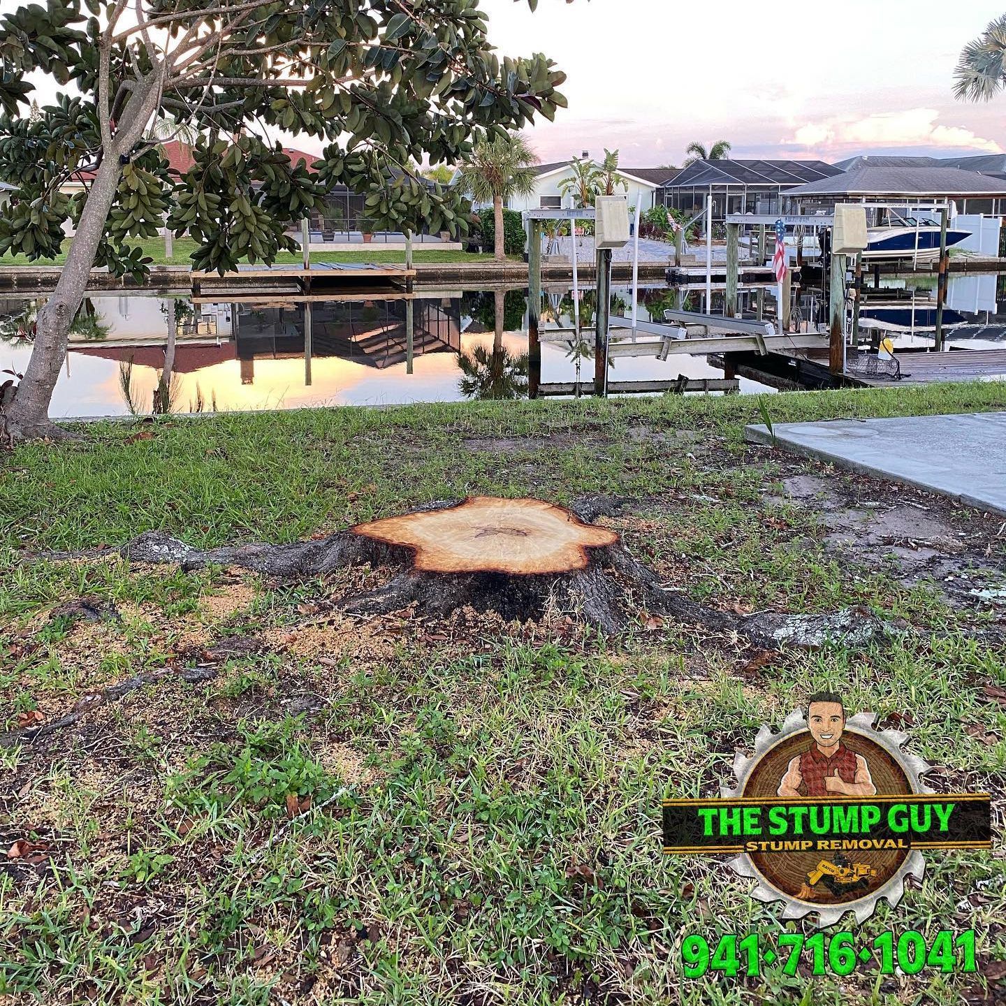 Stump grinding | Tampa, FL | The Stump Guy of Tampa