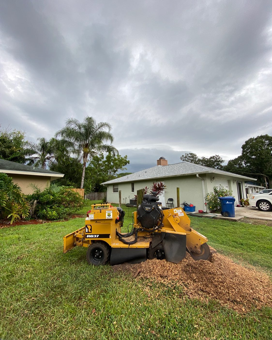 A yellow stump grinder on a lawn, grinding wood chips. Cloudy sky, houses in background.