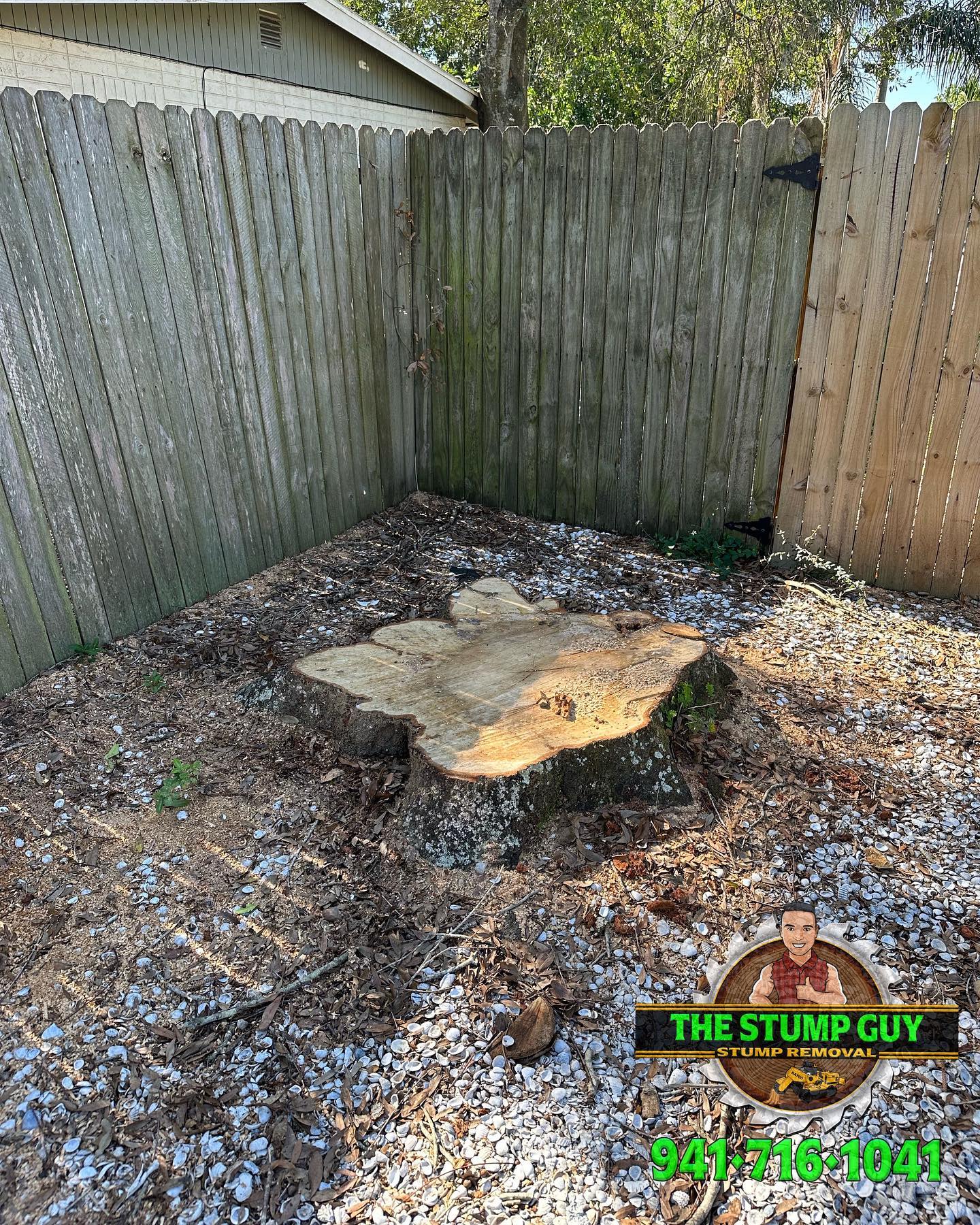 Stump Removal | Tampa, FL | The Stump Guy of Tampa