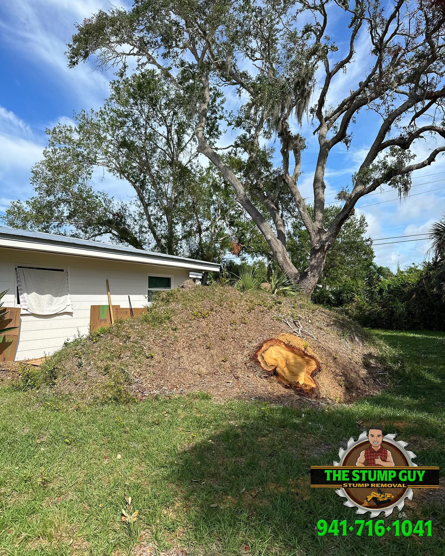 before stump removal | Tampa, FL | The Stump Guy of Tampa