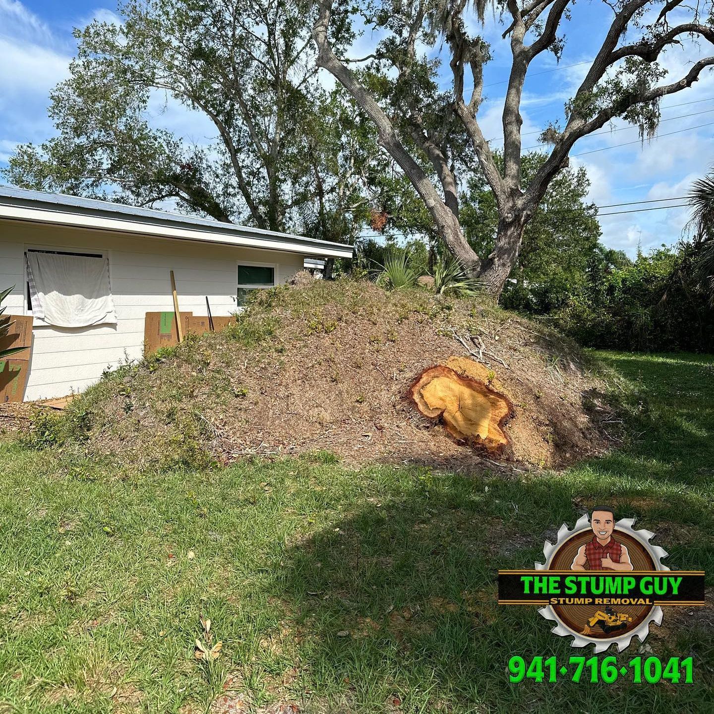 Stump grinding | Tampa, FL | The Stump Guy of Tampa