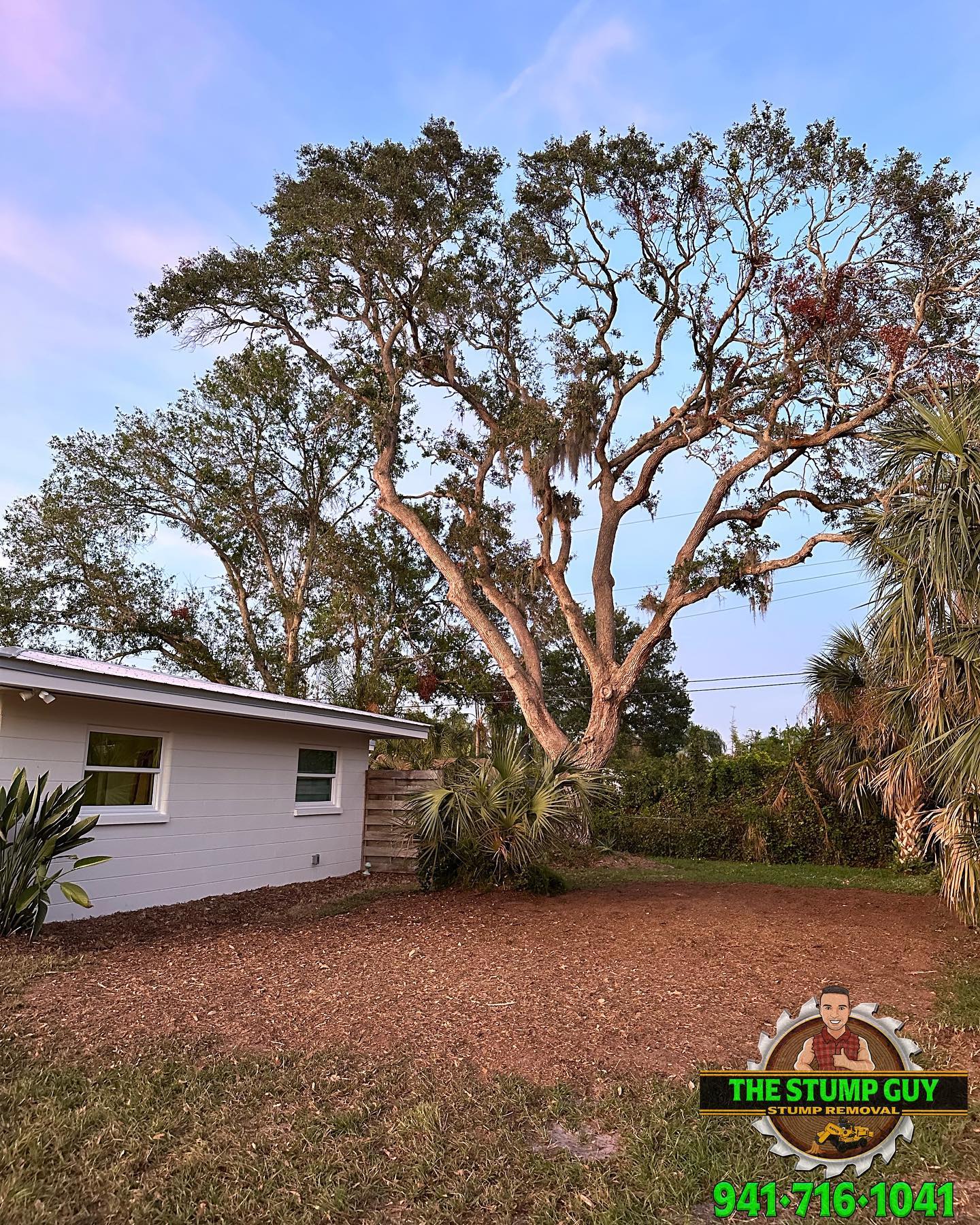 After stump removal | Tampa, FL | The Stump Guy of Tampa