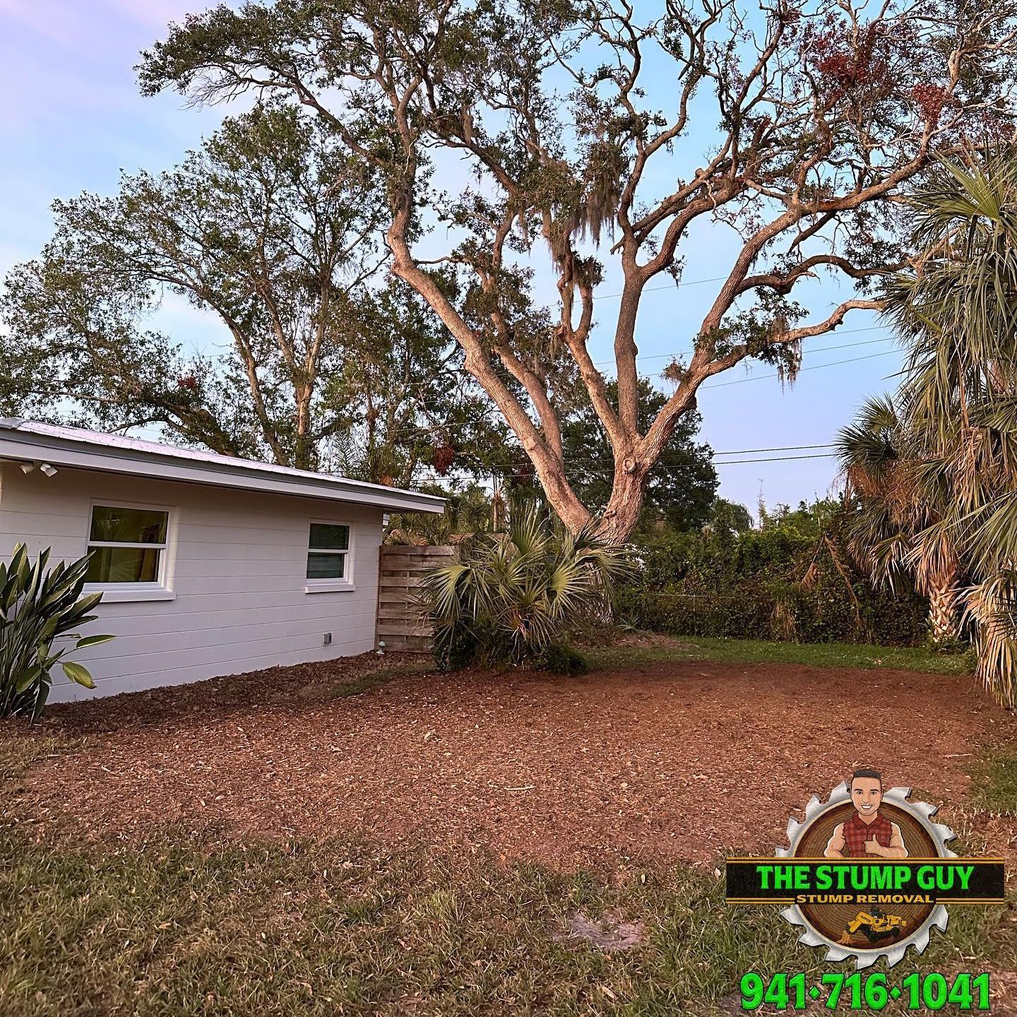 Stump grinding after | Tampa, FL | The Stump Guy of Tampa