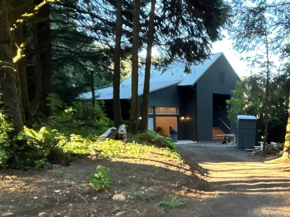Modern dark house in a wooded yard with a dirt path and bright sunlight filtering through trees