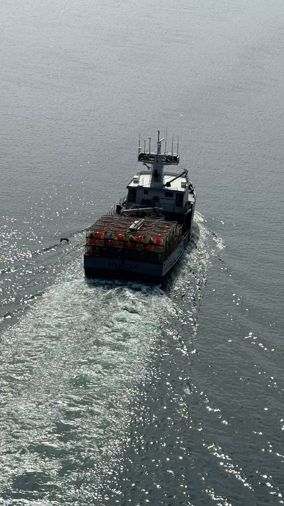 Cargo ship viewed from above sailing across calm gray water, leaving a bright wake behind it