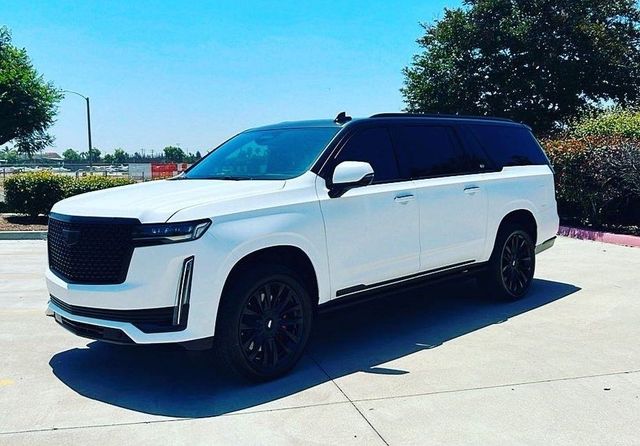 White SUV parked on a sunny driveway with trees in the background