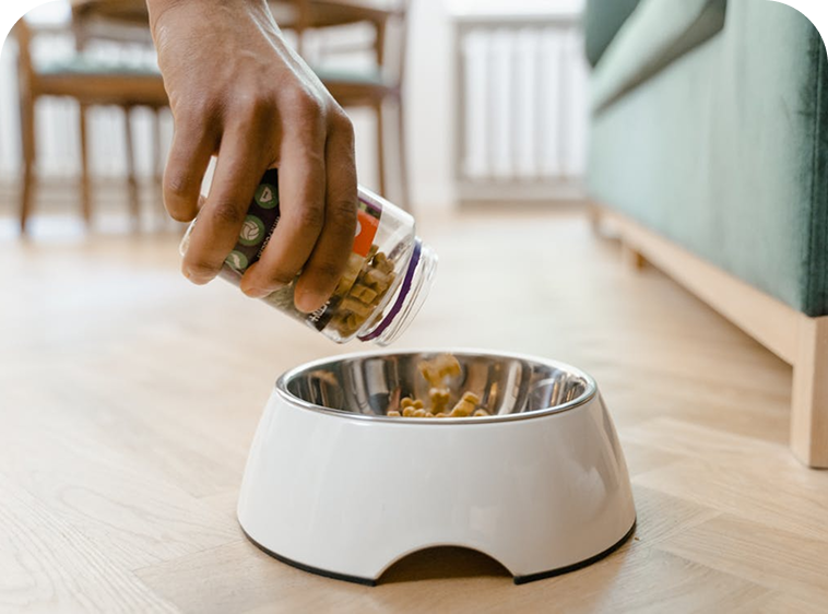 A hand pours dry pet food from a clear plastic jar into a white metal bowl on a wooden floor.