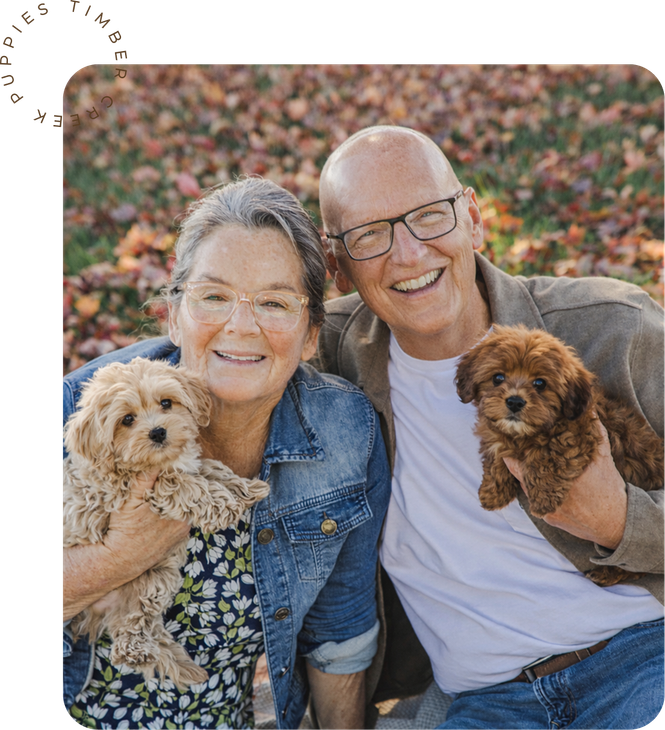 A couple holding two small, fluffy puppies outdoors in a park with fallen leaves.