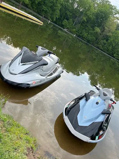 Two jet skis floating in shallow water by a grassy shore and trees