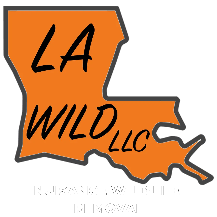 Logo for "LA Wild LLC" featuring Louisiana's outline in orange with black text and gray border.