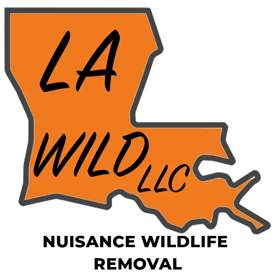 Logo for 