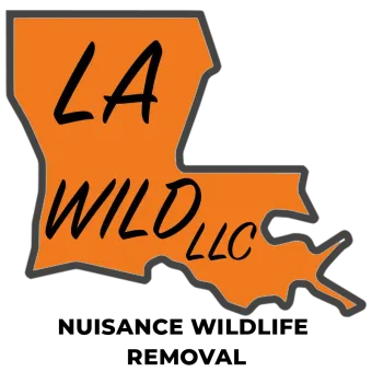 Logo for 
