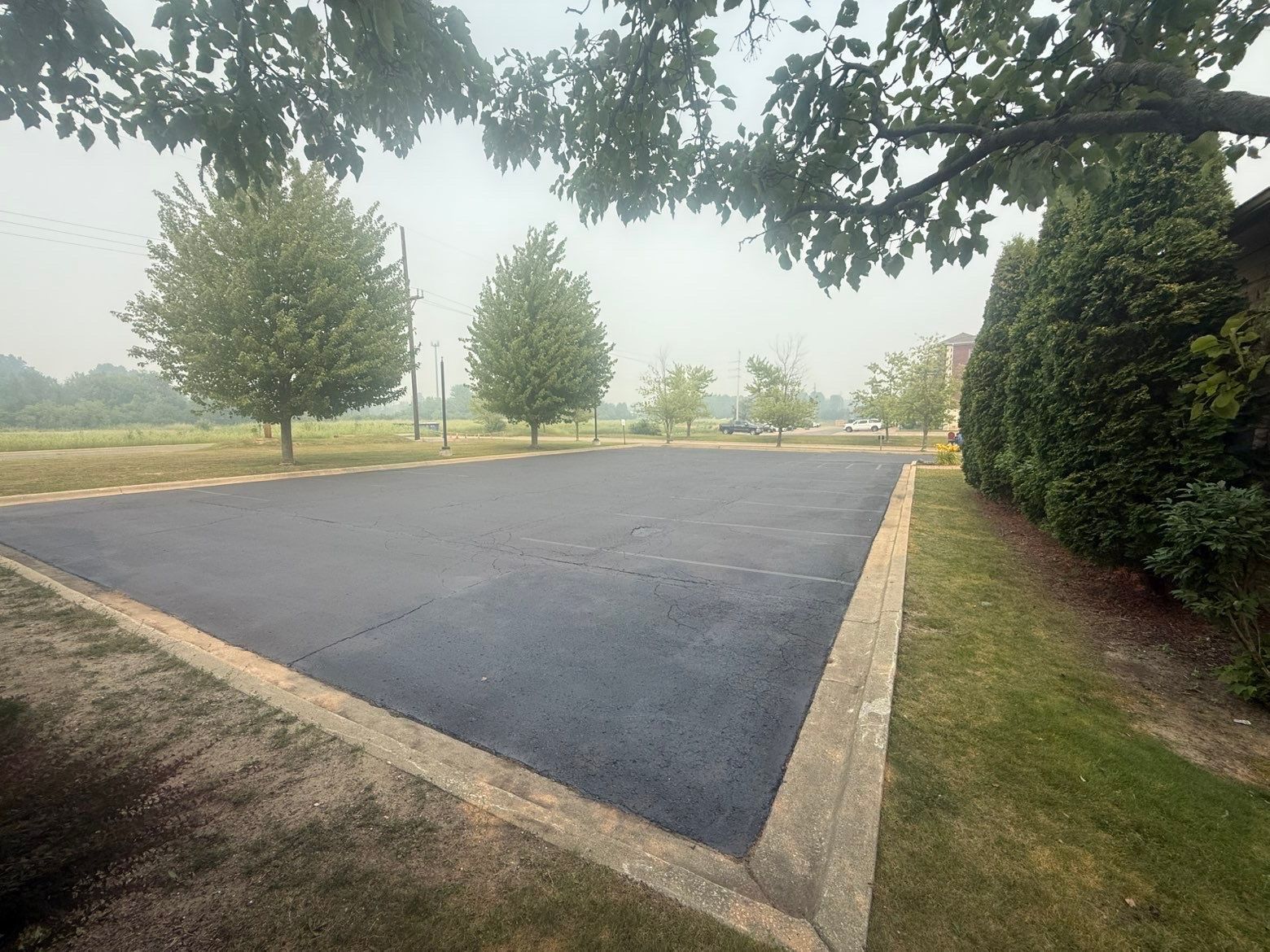 Empty paved parking area bordered by grass and trees on a foggy day