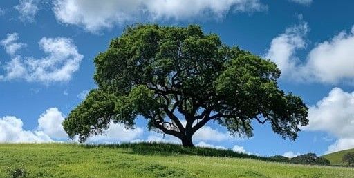 A tree is standing on top of a grassy hill.