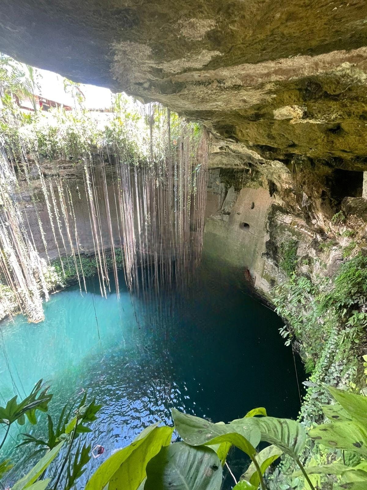 Un gran cuerpo de agua en el medio de una cueva rodeada de árboles.