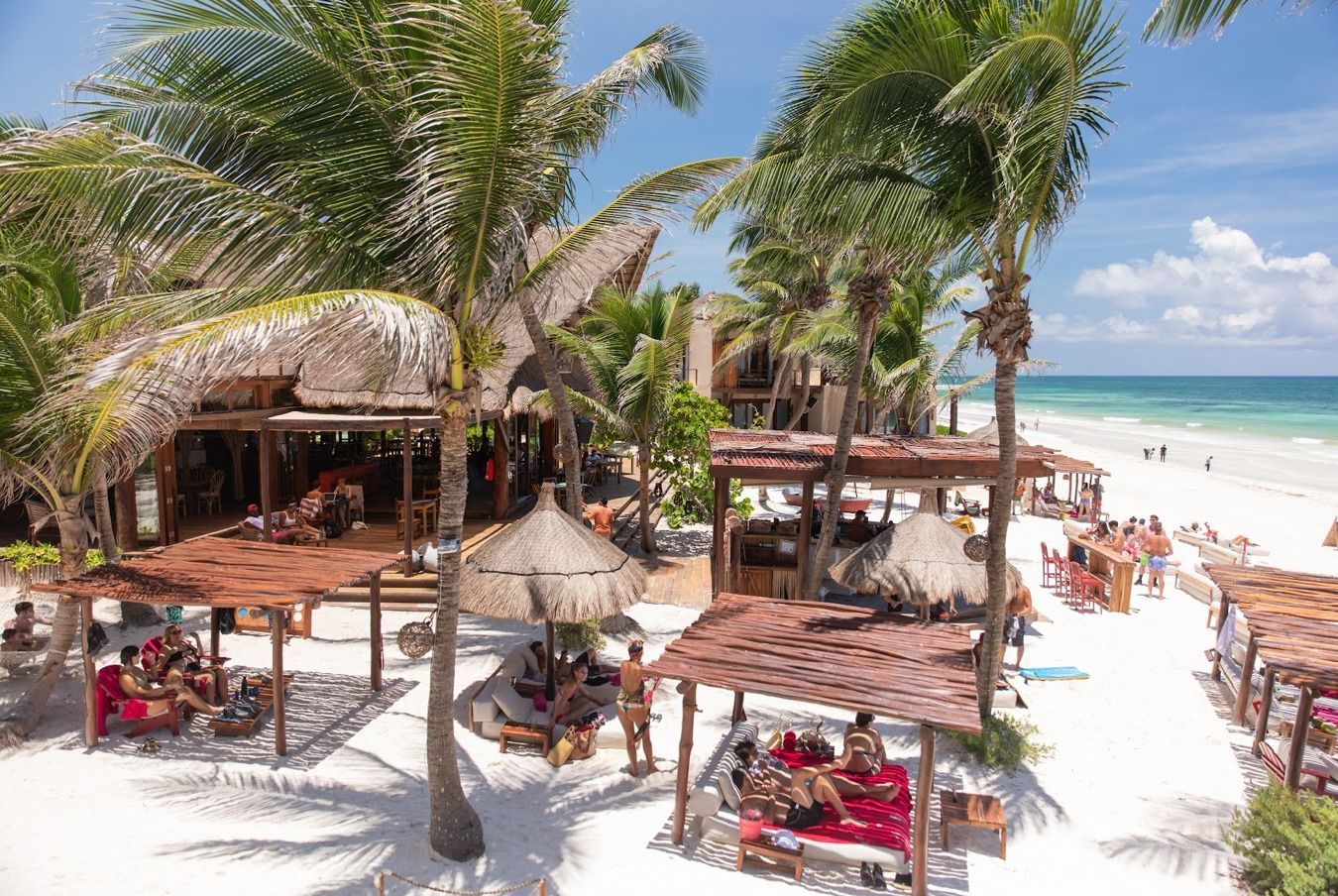 Un grupo de personas están sentadas bajo sombrillas en una playa.