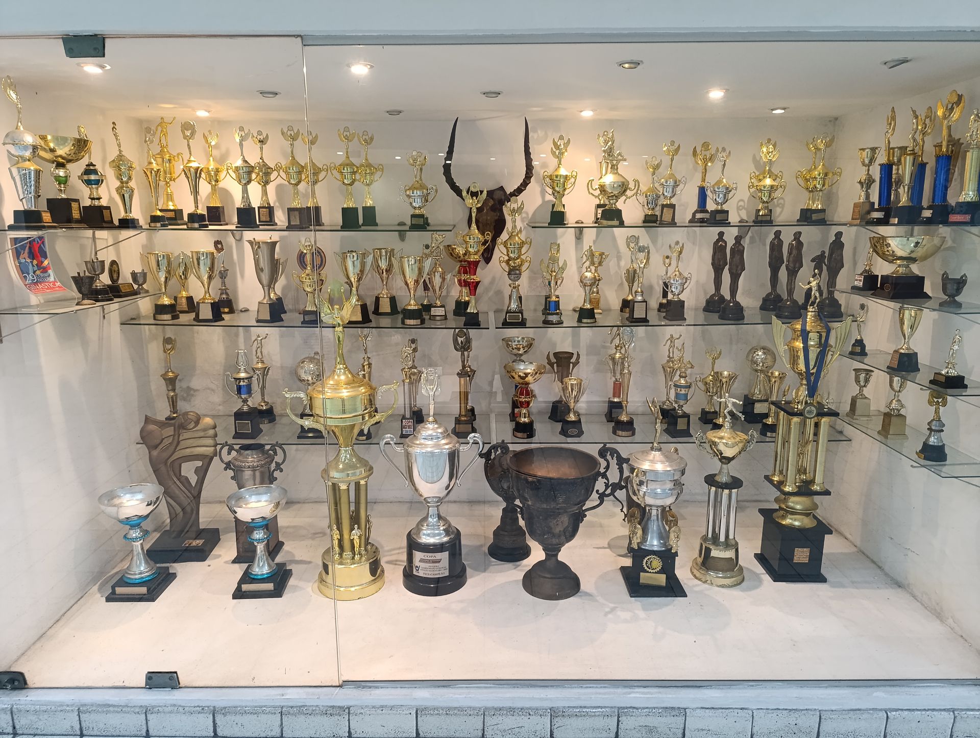 Uma vitrine cheia de troféus e prêmios