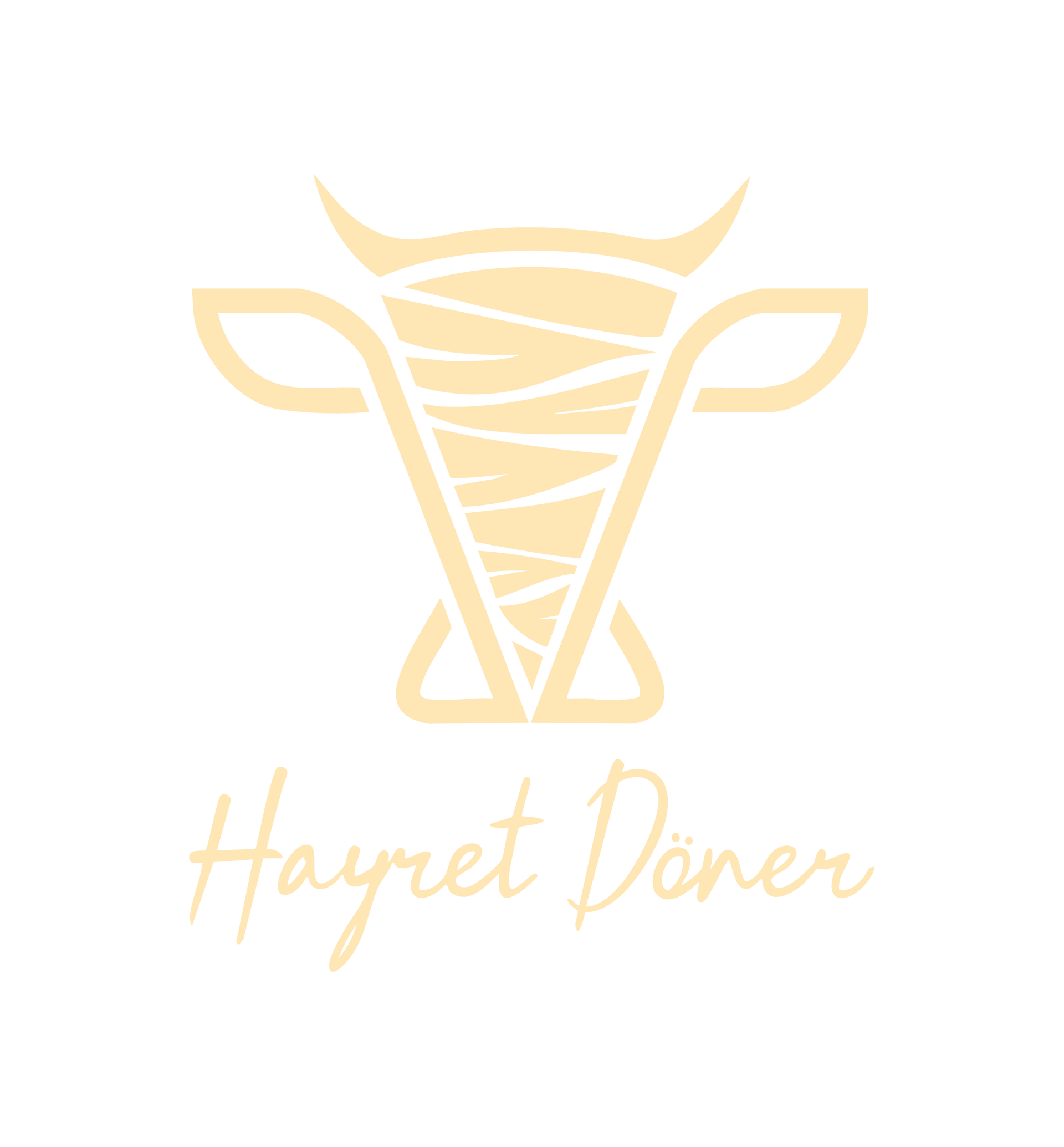 Логотип Hayret Döner