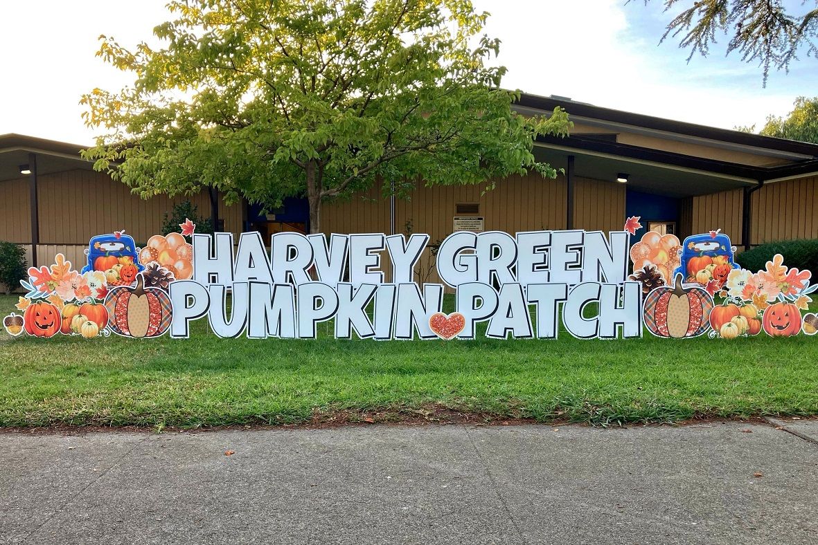 Image of Harvey Green elementary pumpkin patch display. 
