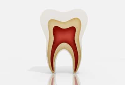 A close up of a tooth with a red center on a white background.