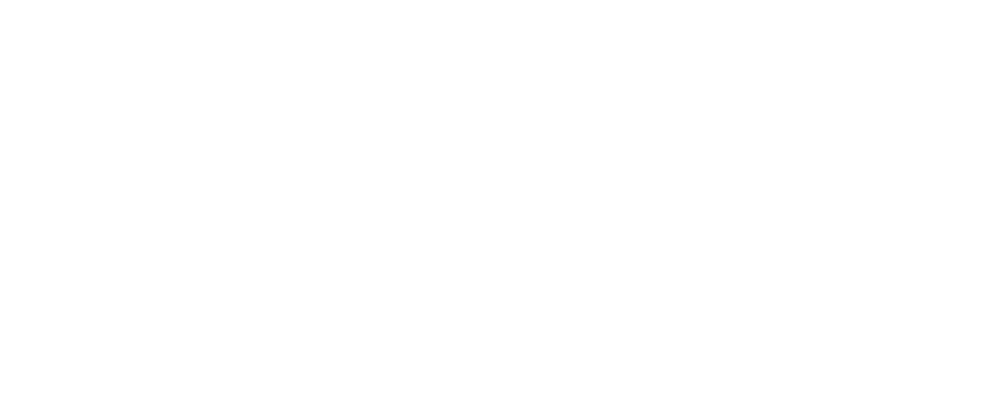 Company Logo - Footer