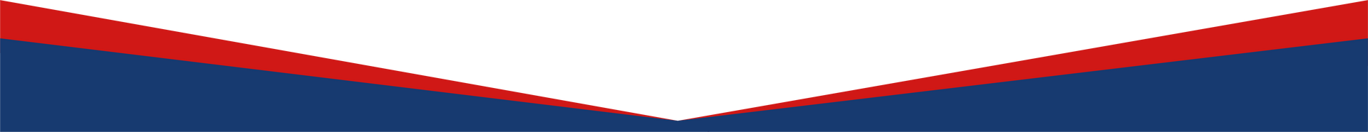 Flag of American Samoa with a white triangle on a blue field and red border.