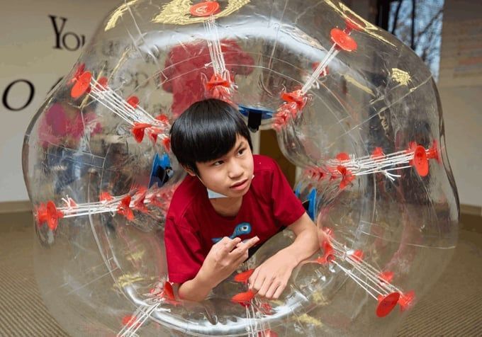 Boy inside a transparent body bumper.