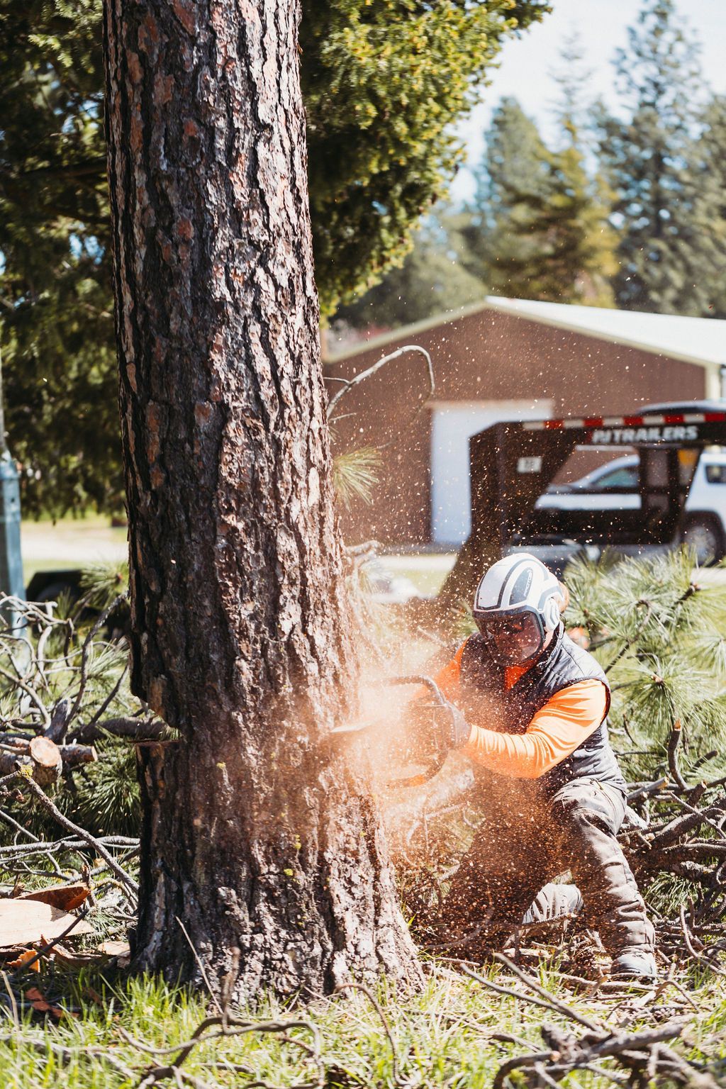 Person in safety gear using a chainsaw to cut a tree trunk; wood chips flying.