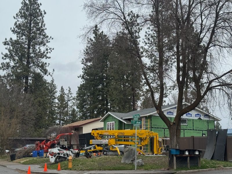 A house under renovation with green exterior sheathing, surrounded by construction equipment and pine trees.
