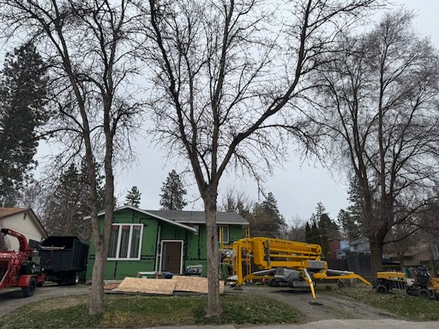 A house under construction with green sheathing, surrounded by bare trees, a wood chipper, and heavy construction equipment.