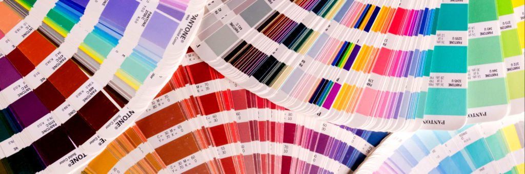 Color Consultation