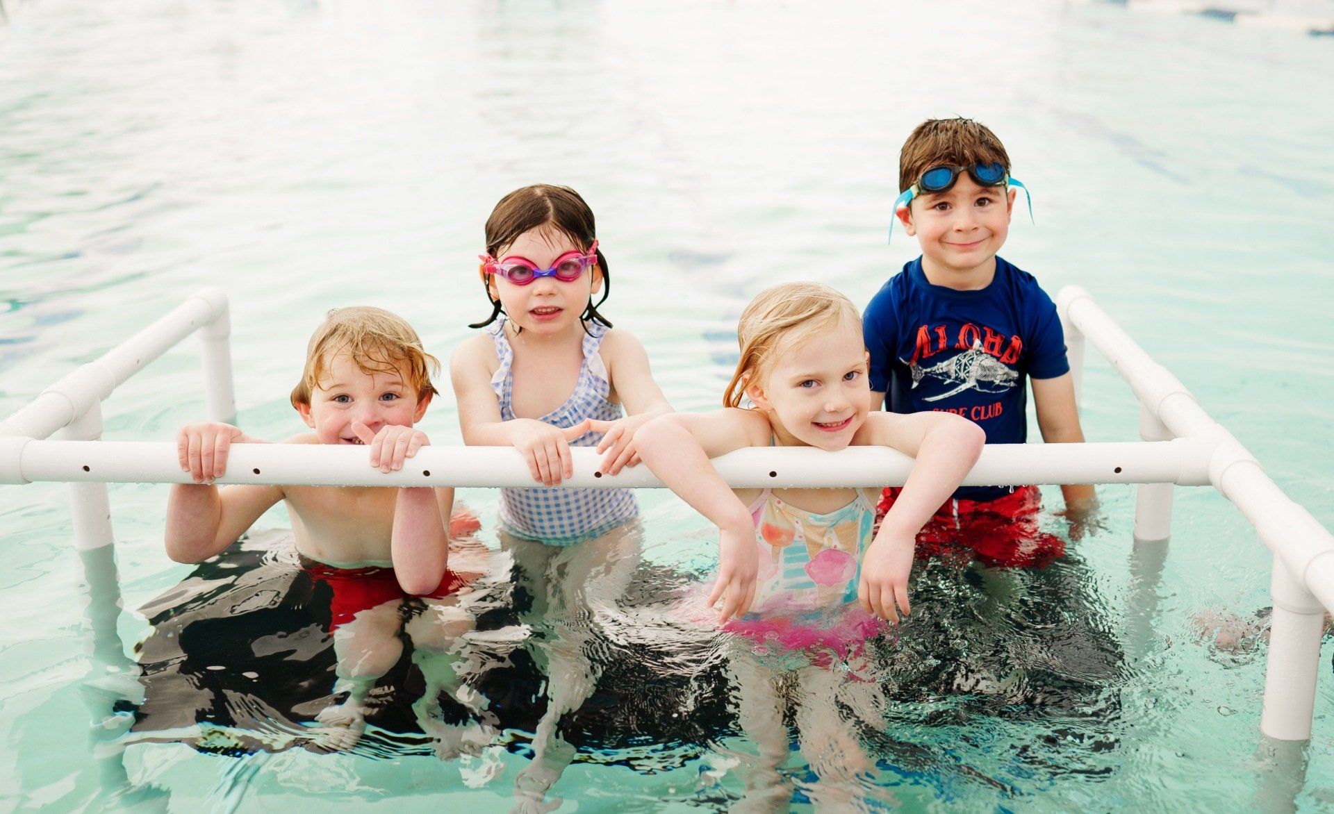 Longfellow Aquatics Image Header