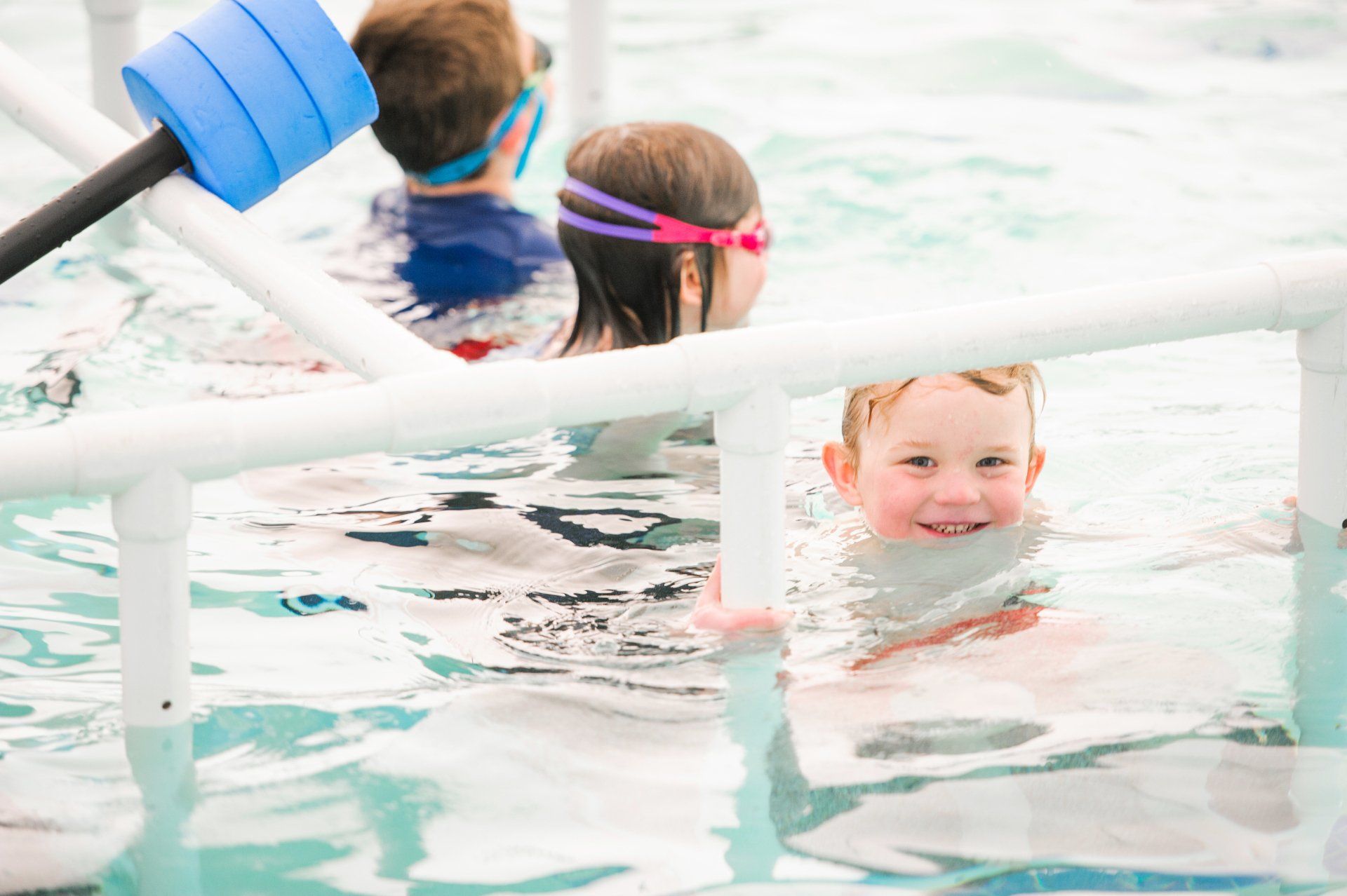 Natick Aquatics Image 1