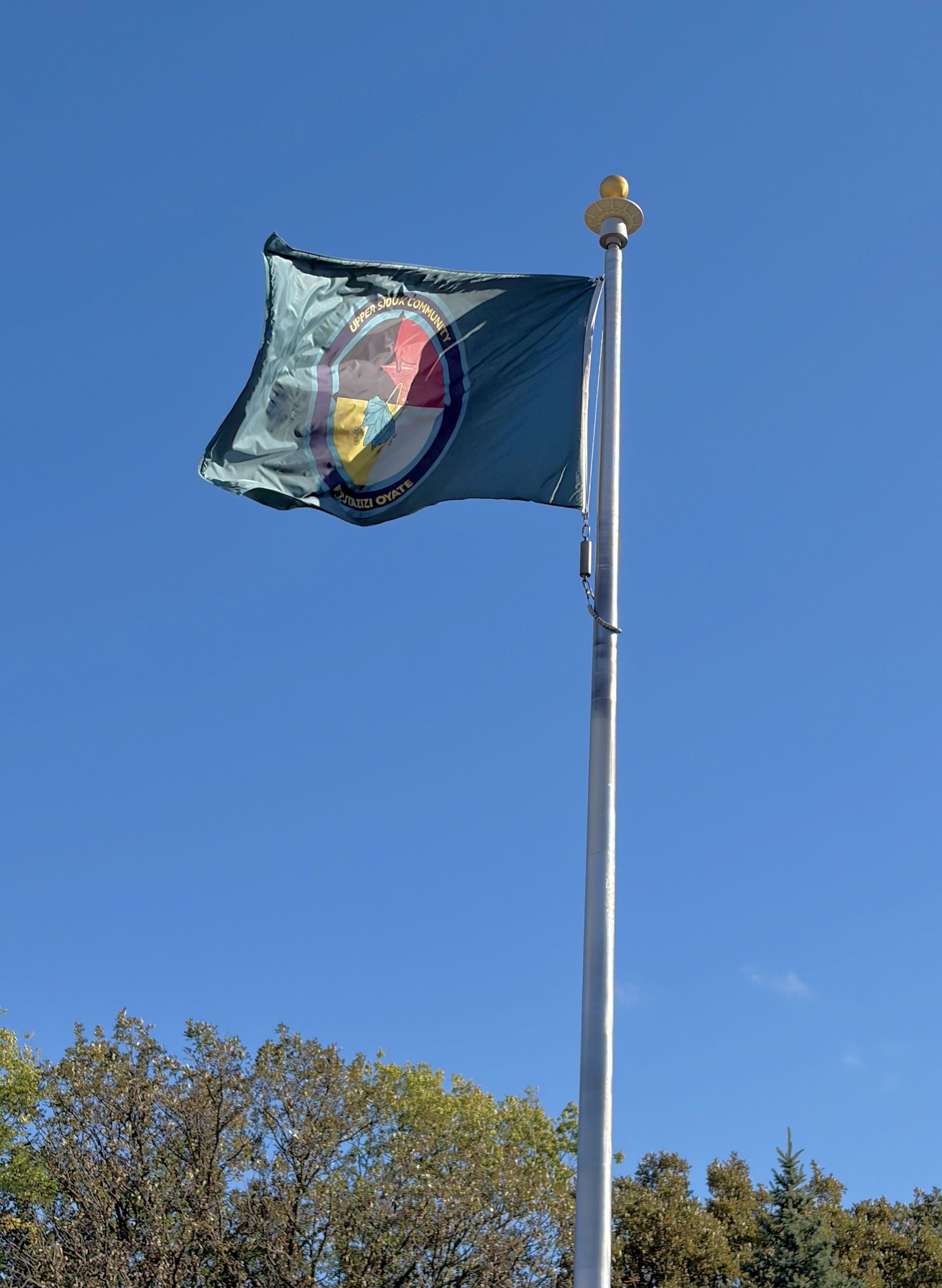 A flag is flying in the wind on a pole in front of trees.