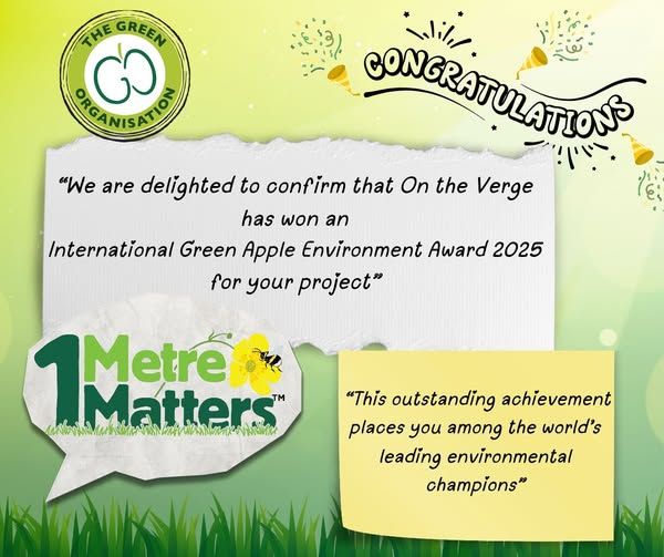 International Green Apple Environment Award 2025 for #1MetreMatters ...